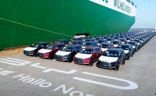 滨州吃瓜比亚迪事件,一场网络热议的真相探寻